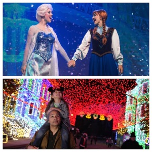 dtnemail-Frozen_Holiday_Mashup-61234