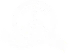 Special Needs Group Logo